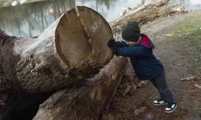 Сегодня в Орле прошёл общегородской субботник