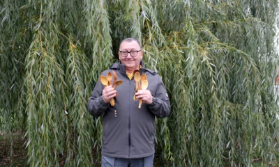 Рябиновые ложки