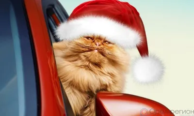 В новогоднюю ночь в Орле изменят схему движения для автомобилистов