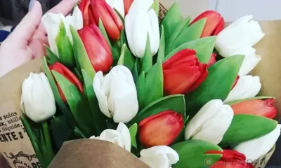 Дорогие орловчанки, с праздником!