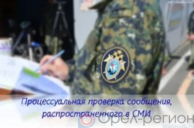 Орловчанка подозревается в истязании своего малолетнего ребёнка