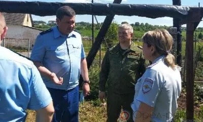 Расследование дела по факту исчезновения под Орлом 9-летней девочки - на контроле прокуратуры