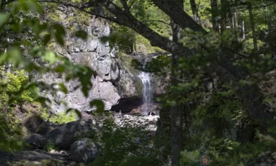 В нацпарке «Земля леопарда» открыта новая экотропа