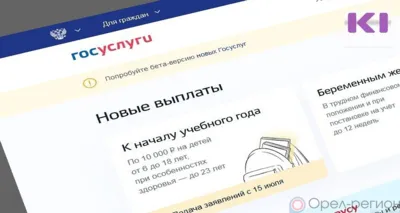 В Орловской области большинство заявлений на выплату 10 тысяч школьникам будет сформировано автоматически