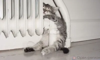 В Орле к отопительному сезону готовы все учреждения соцкультбыта