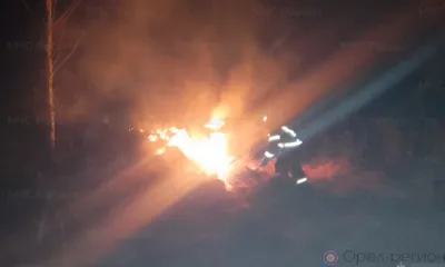 На Орловщине вновь горела сухая трава