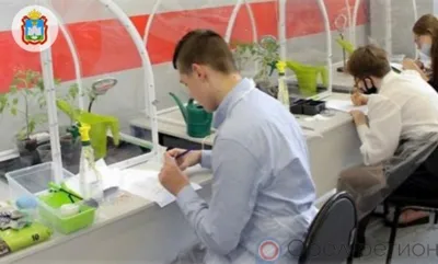 Для юных орловцев откроется Экостанция