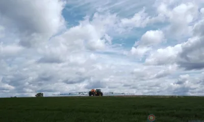 Аграрии Урицкого района заложили основы под урожай как минимум на два года вперёд