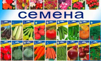 На рынке Свердловского района продавали семена корнеплодов без документов