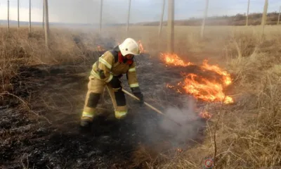 Орловские пожарные 30 раз за сутки выезжали тушить мусор и сухую траву
