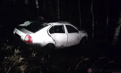 В Хотынецком районе Skoda Octavia вылетела в кювет и перевернулась