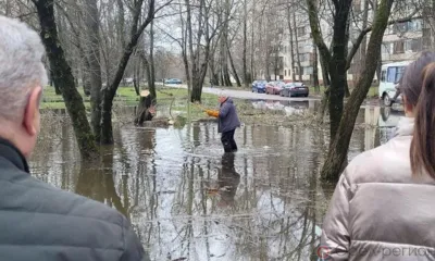 В Орле был замечен купающийся в луже бобёр