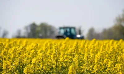 Орловские аграрии собрали 1 млн тонн масличных культур