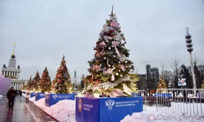 Губернаторскую ёлку в Москве посетили 95 юных орловцев