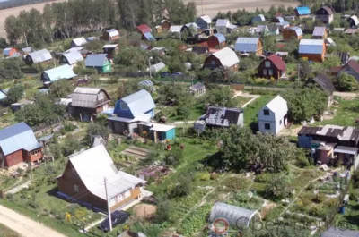 Отношение россиян к дачным участкам