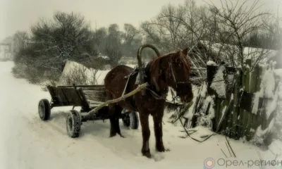 Трое колпнянцев обокрали односельчанку