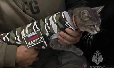 Маруся из Орла провела первую разведку в зоне СВО