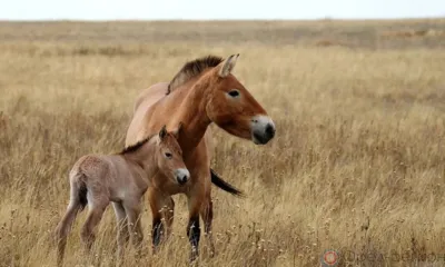 Итоги недели