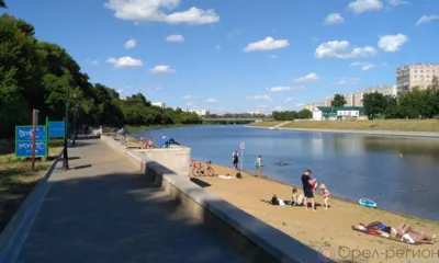 Компас в мире вопросов