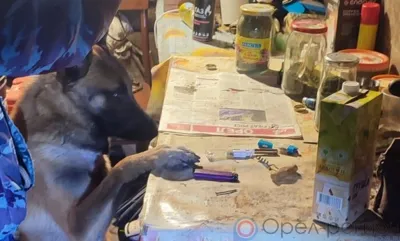 У орловца в сарае нашли несколько килограммов наркотиков