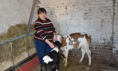 Увеличить подсобное хозяйство Марине Скомороховой из села Ушаково помог социальный контракт