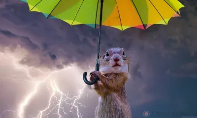 Завтра орловцев ждут грозы с градом, жара и сильный ветер