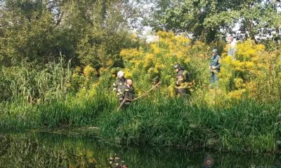 В Орле в реке обнаружили тело мужчины