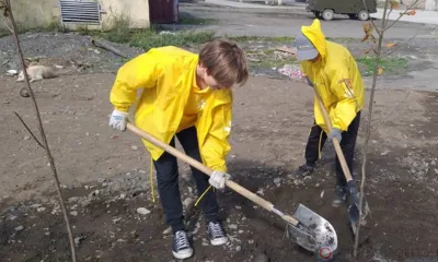 Юные орловцы вливаются в отряды временнозанятых