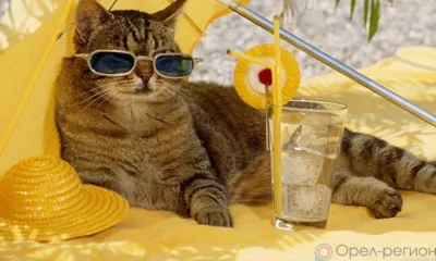 На выходных на Орловщине потеплеет до 32 градусов