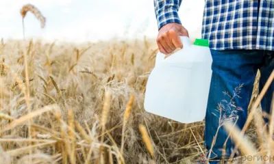 Ливенский «Коротыш» уличили в превышении дозировок пестицидов при обработке посевов