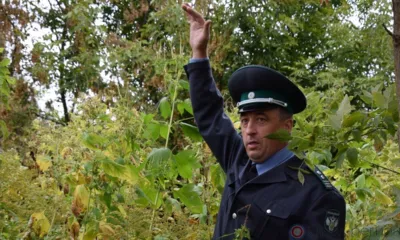 В июне исполнилось 90 лет Государственной службе карантина растений