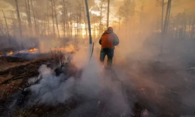 Итоги недели...