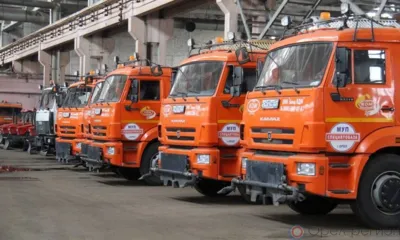 «Спецавтобаза» займётся отловом и содержанием безнадзорных животных в Орле