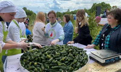 На Орловщине приготовили более 2 тысяч малосольных огурцов и установили гастрономический рекорд России