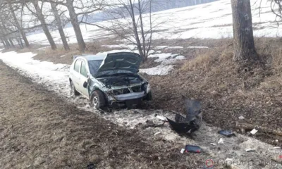 Под Орлом Renault вылетел в кювет и врезался в дерево