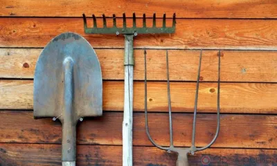 Защищавшая мужа орловчанка попала под следствие