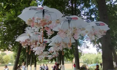 В парке «Орловская крепость» проходит красочный фестиваль цветов «Стрелка»