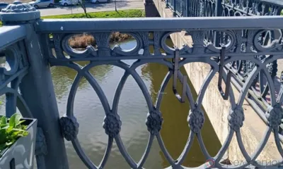 С Александровского моста в Орле украли кашпо с цветами