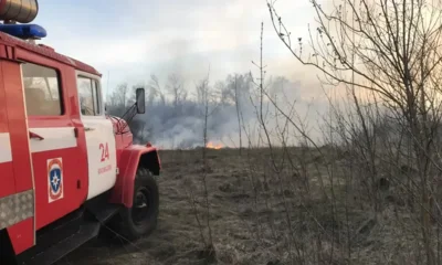 На Орловщине массово горит сухая трава