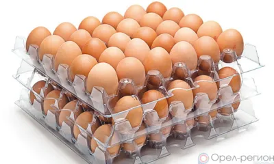 Сотрудник орловского предприятия по упаковке яиц внёс в документы ложные сведения о сроке годности продукции