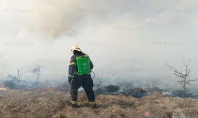 На территории Орловской области за сутки подтвердились пять термоточек