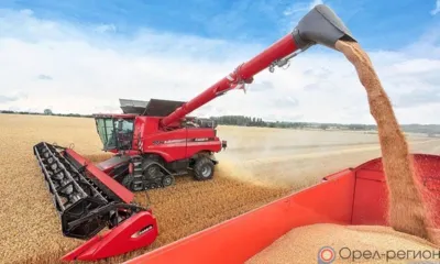 Сельхозтоваропроизводители региона, несмотря на сухую осень 2020 года и затяжную весну 2021-го, планируют получить не менее 4,3 млн тонн зерна