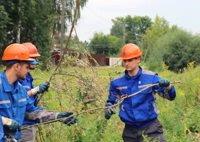Энергоотряд «Сетевик» завершил работу на объектах «Орелэнерго»
