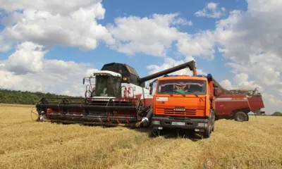 Ливенский район в этом году ожидает большой урожай зерновых