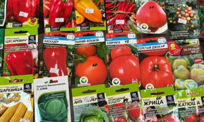 В орловских магазинах нашли 70 партий семян с неправильной маркировкой