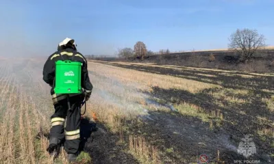 Под Орлом вместе с сухой травой сгорели четыре сарая