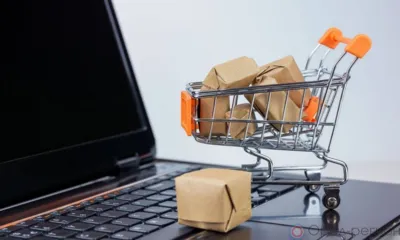 Орловцам рассказали об основных аспектах при приобретении товаров через Интернет