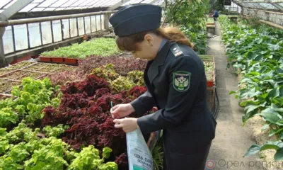 85 новых карантинных фитосанитарных зон установлено на Орловщине