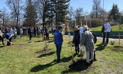 28 рябин в честь защитников Отечества высадили в сквере имени Н. С. Лескова в Орле