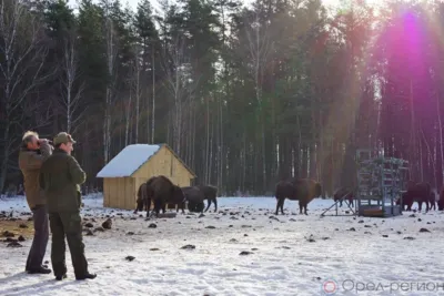 Популярный у орловцев и жителей соседних регионов Хотынецкий природный парк поменял наименование